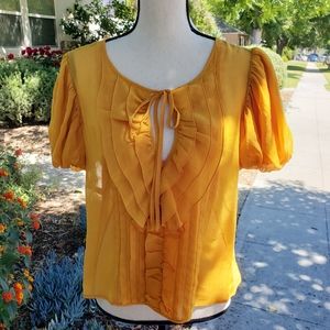 Anthropologie | Leifsdottir Ruffle Pleated Blouse